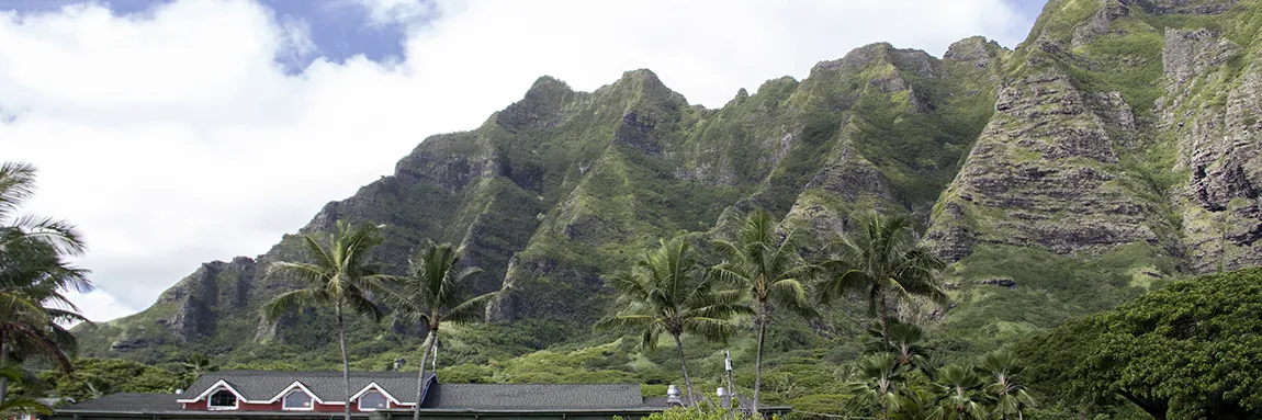 Oahu, Hawaii. Parkeringspladsen, med indgangen til Jarussic Park.
