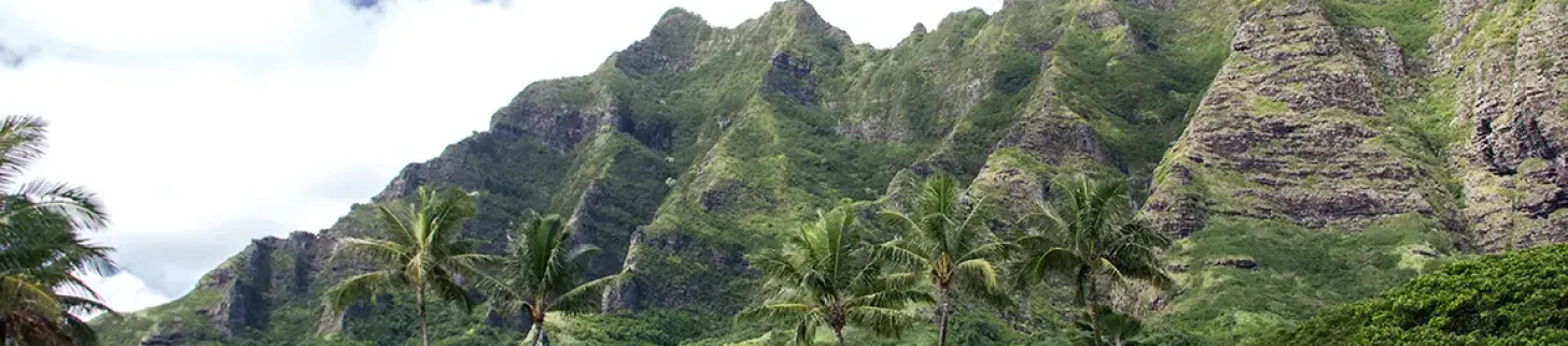 original-1-1150px-70